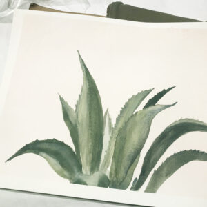Watercolor Botanicals Workshop - Virtual