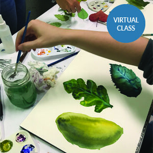 Using this versatile media, students will explore botanical progressions while learning a variety of techniques.