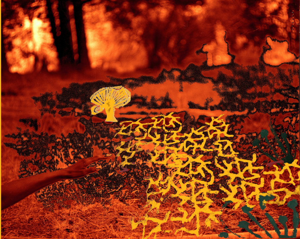A video still of a burning forest in the background. A brown arm with fingers lightly touching the glowing forest, extends into the foreground from the bottom left. A strand of yellow mycelium seeps into the fingers. A golden mushroom erupts in the center of the fiery forest. Plumes of green fungi blossom around the yellow mycelium and mushroom.