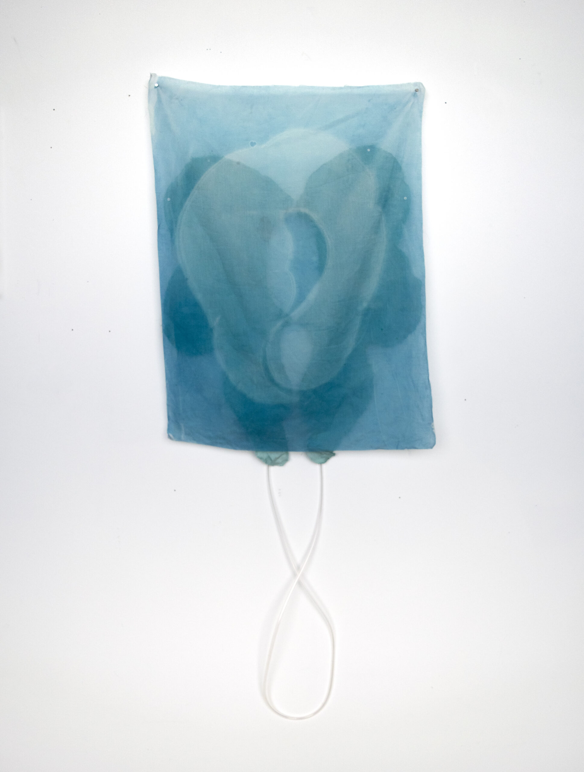 Blood, Breath, Stool